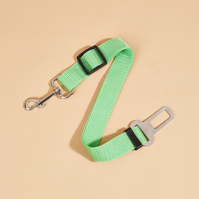 Retractable Pet Leash