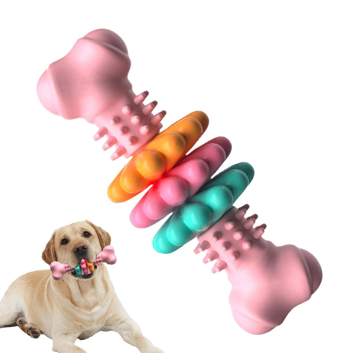 Textured TPR Bone Dog Toy