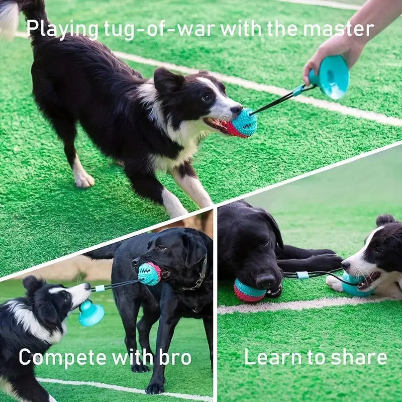 Suction-Cup Rope and Treat Ball Dog Toy