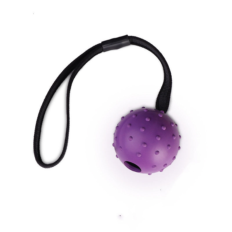 Rubber Ball Dog Toy with Rope