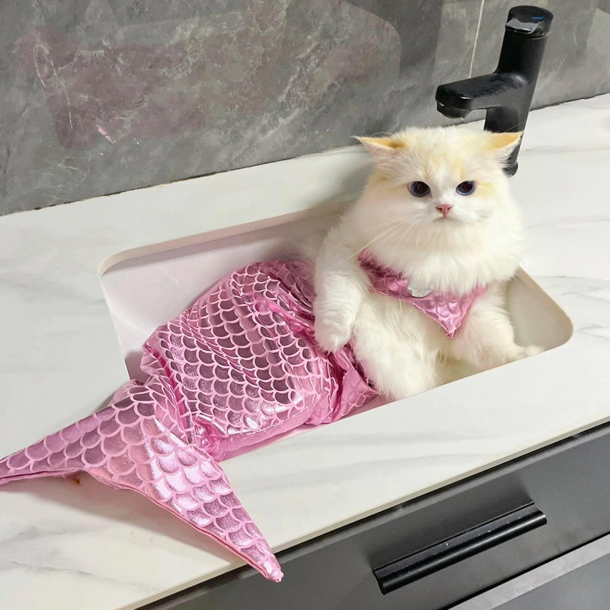 Mermaid Tail Pet Costume