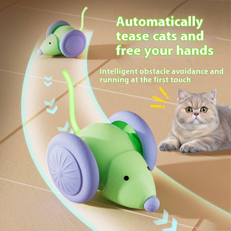 Electric Mouse-Style Cat Chase Toy