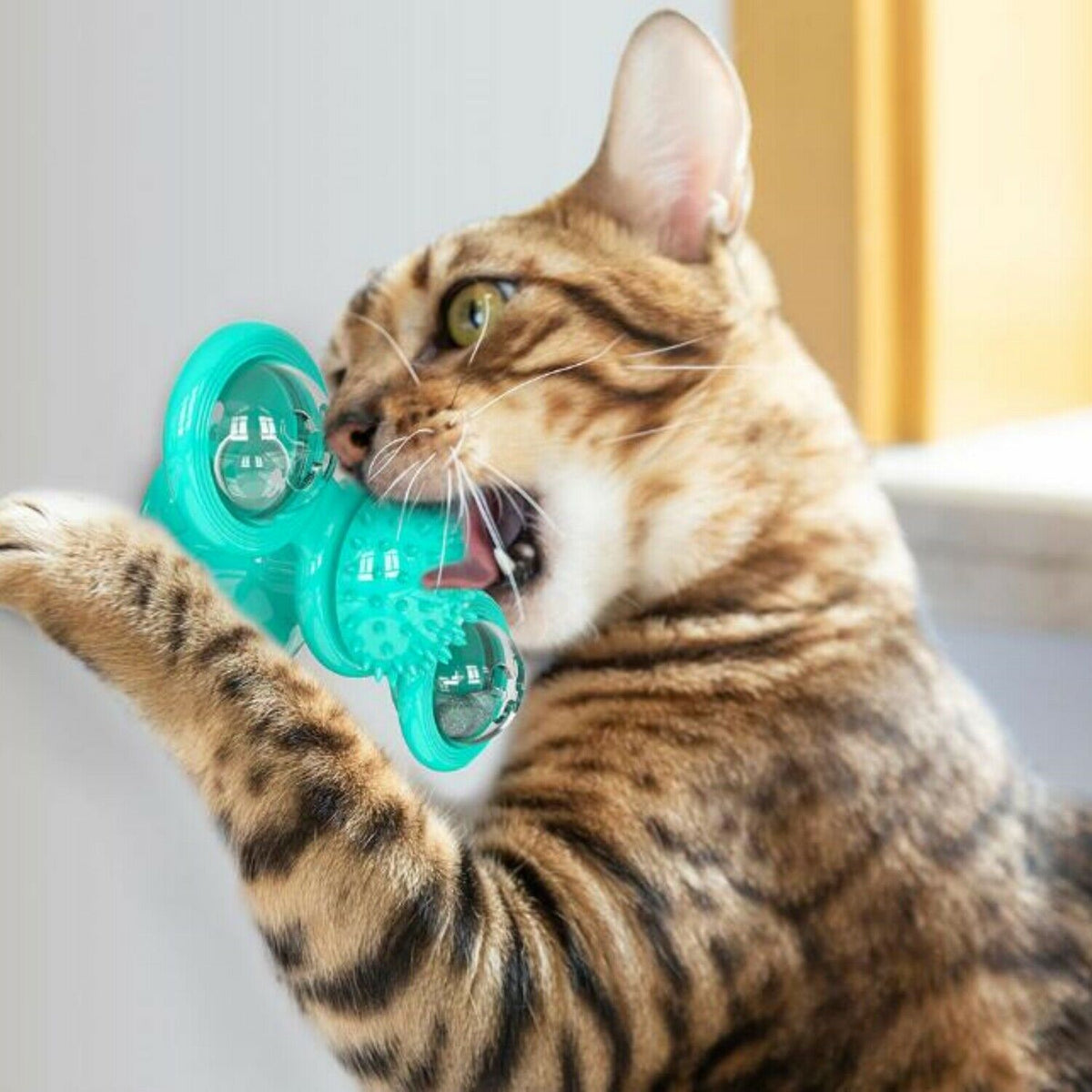 Windmill Cat Spinner Toy with Suction Cup