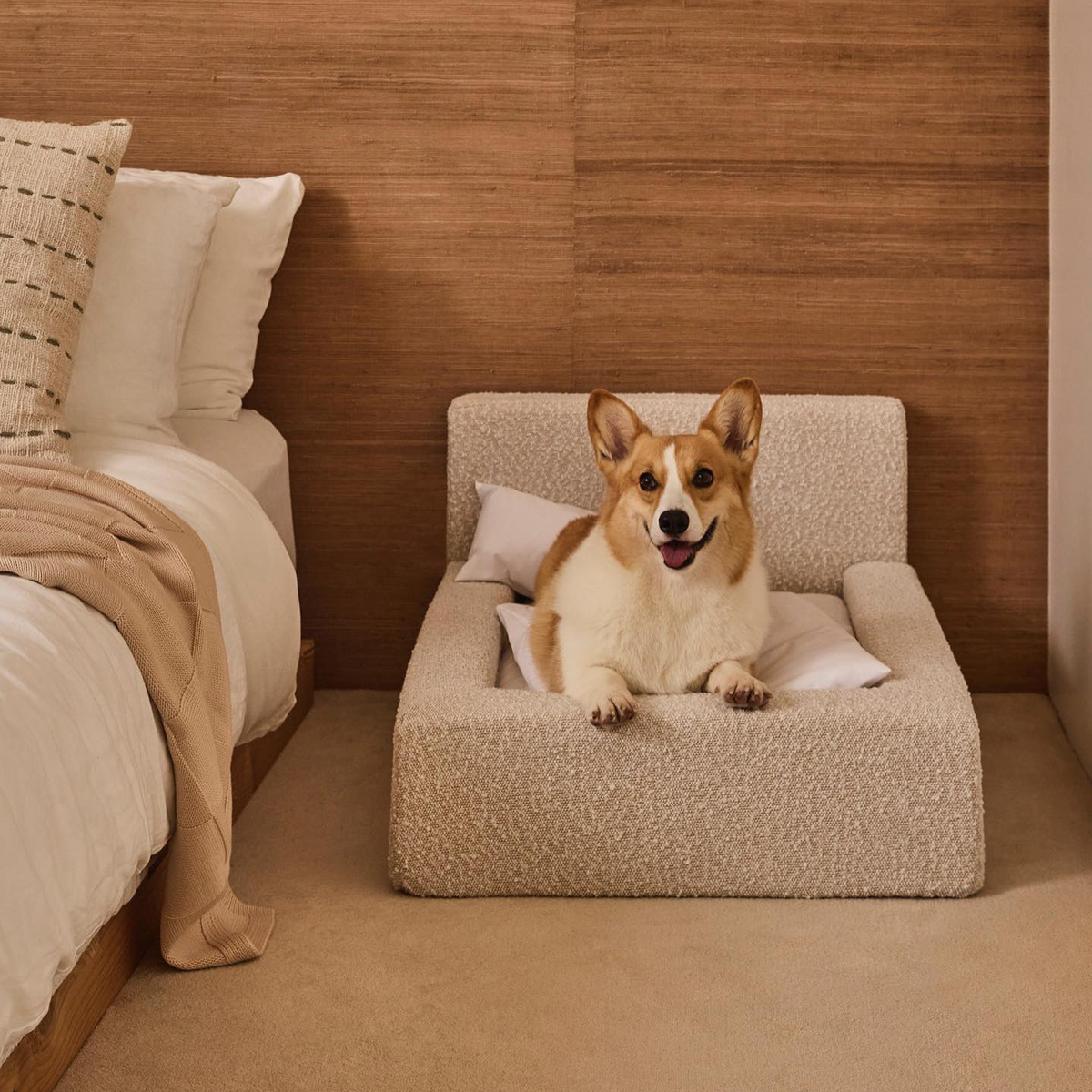 Rectangular Pet Sofa Bed with Backrest