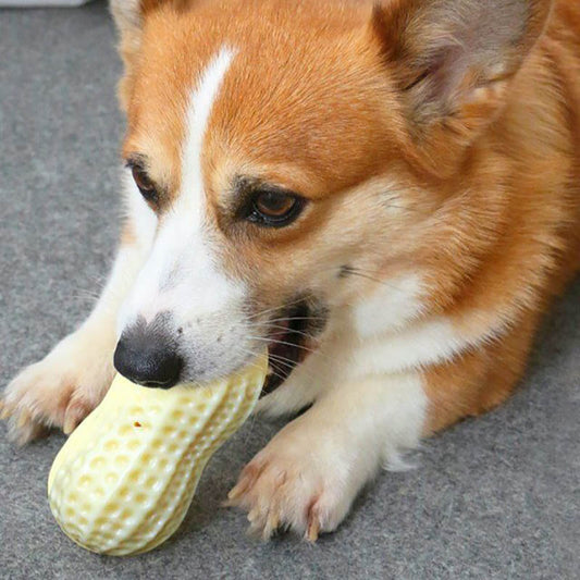 Peanut-Shaped Squeaky Pet Toy