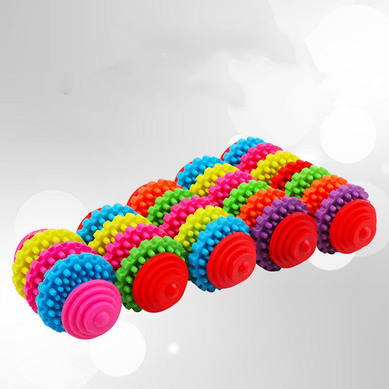 Textured TPR Dog Toy