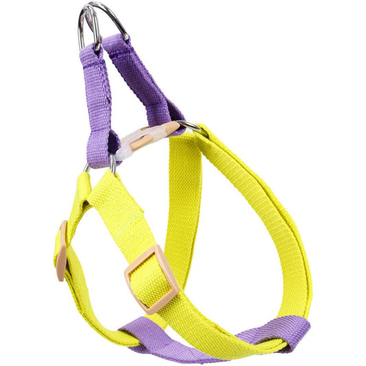 Small Dog Harness and Leash Set