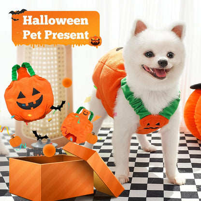 Plush Pumpkin Pet Costume