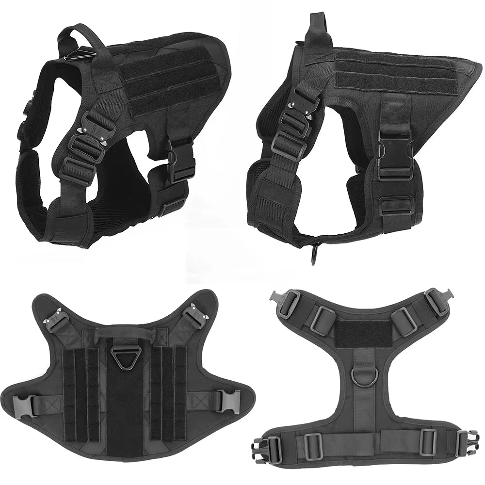 Pet Harness and Leash Set