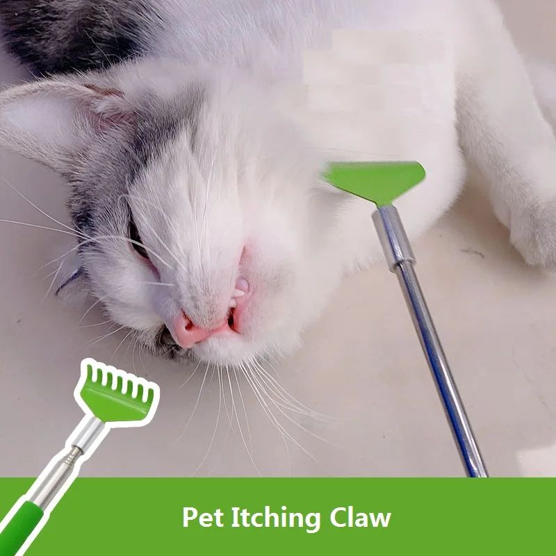 Cat Grooming and Scratching Brush