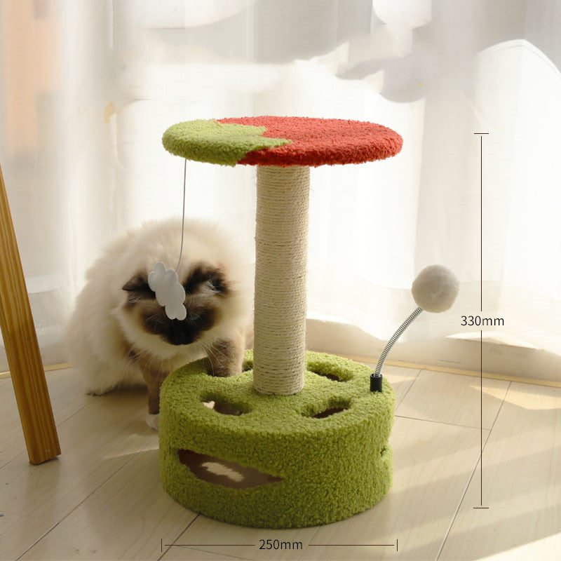 Small Cat Scratching Post and Platform