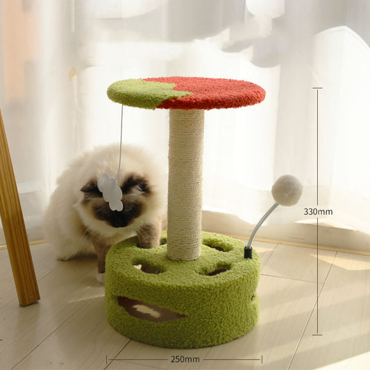 Small Cat Scratching Post and Platform