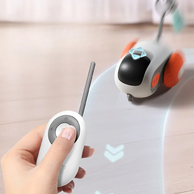 Remote-Control Cat Chase Car