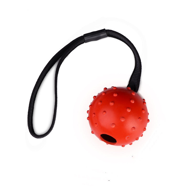 Rubber Ball Dog Toy with Rope