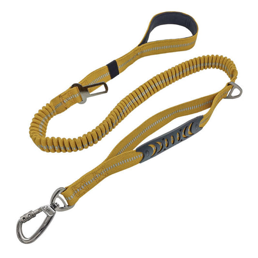 Dog Walking Leash