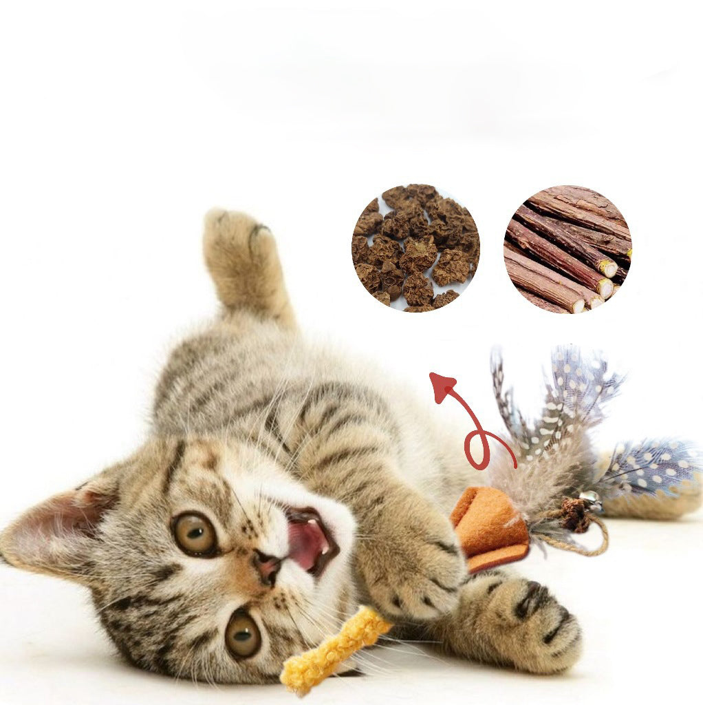 Wood and Feather Cat Teaser Toy
