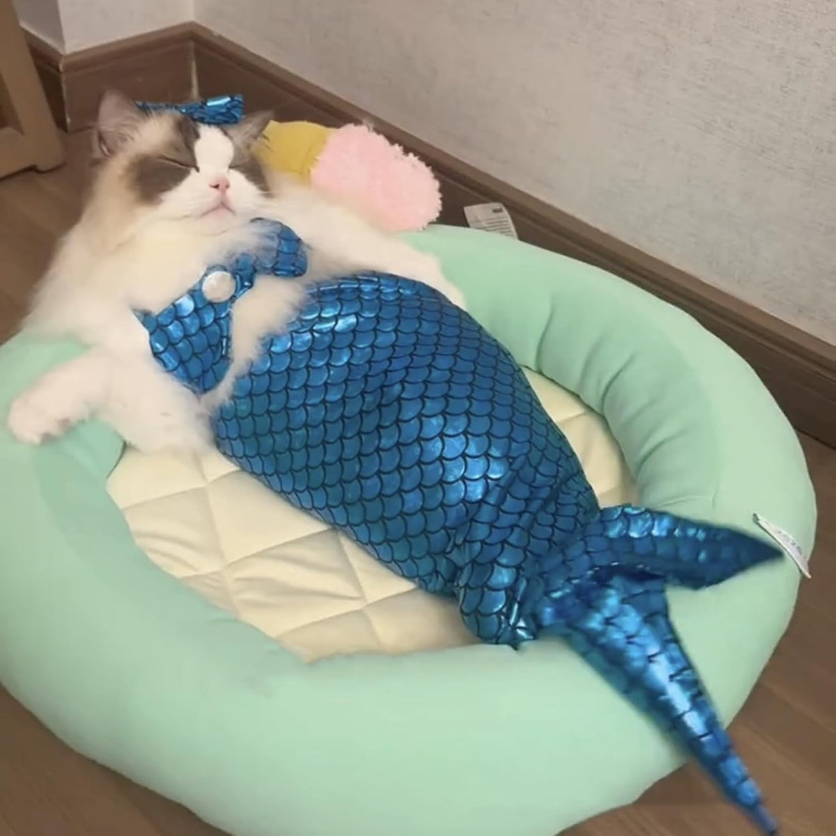 Mermaid Tail Pet Costume
