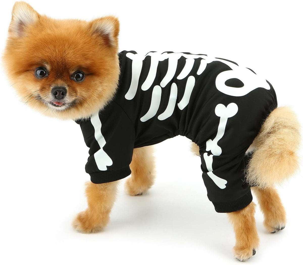 Skeleton Print Pet Jumpsuit