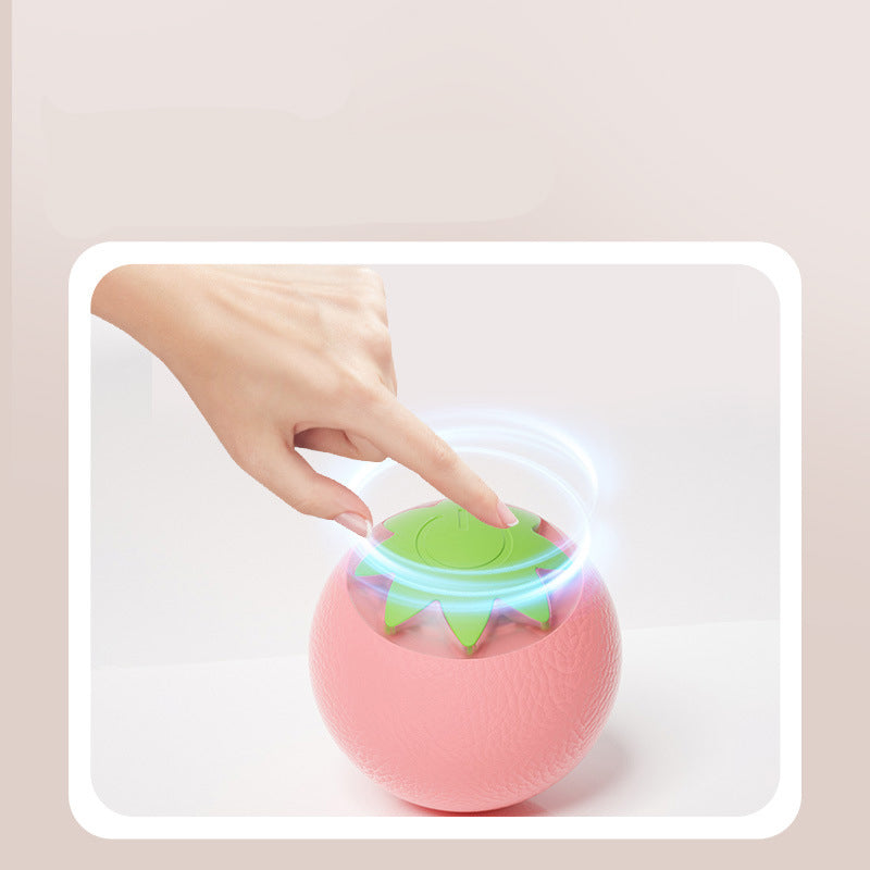 Rechargeable Rolling Pet Toy Ball