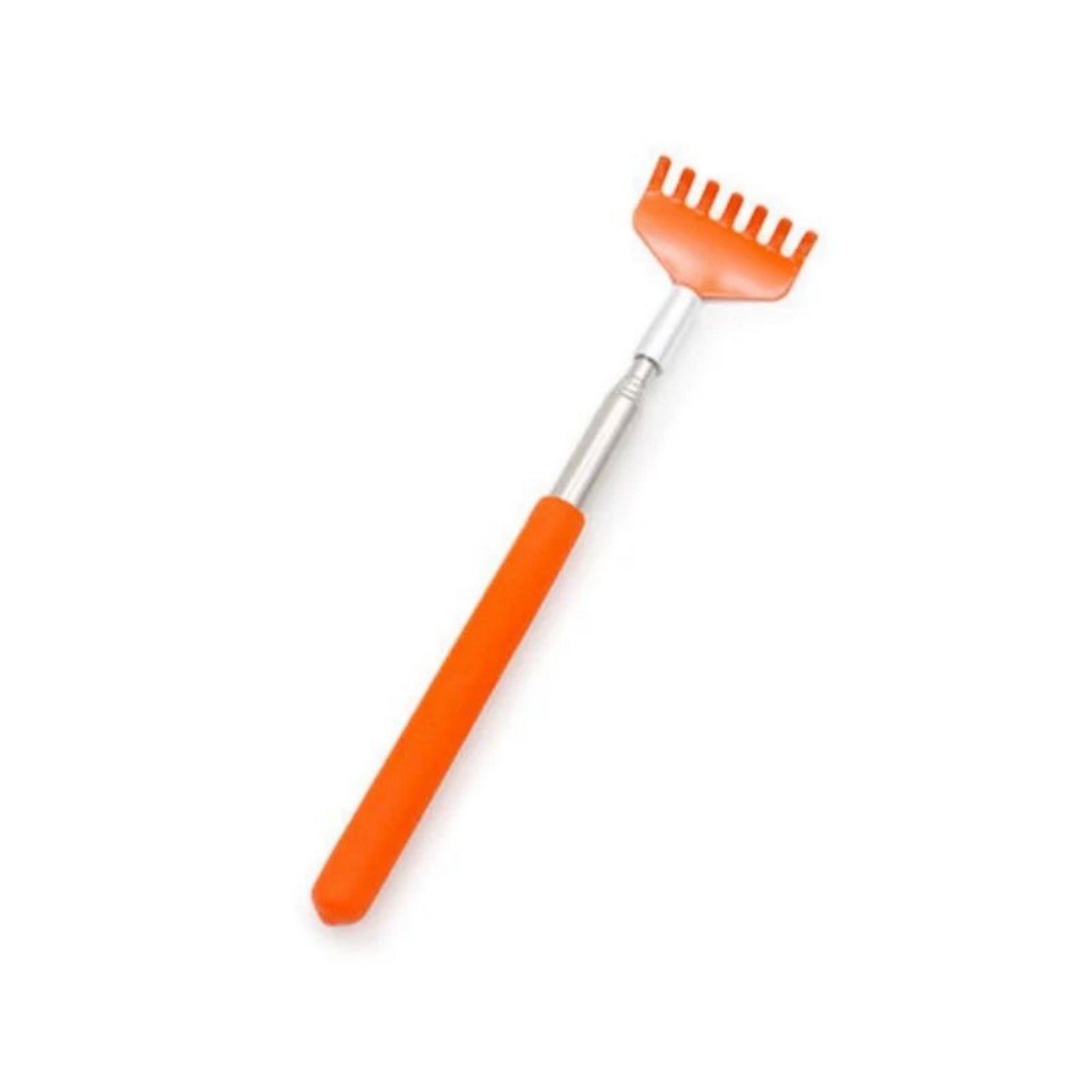 Cat Grooming and Scratching Brush