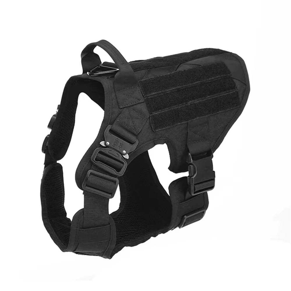 Pet Harness and Leash Set