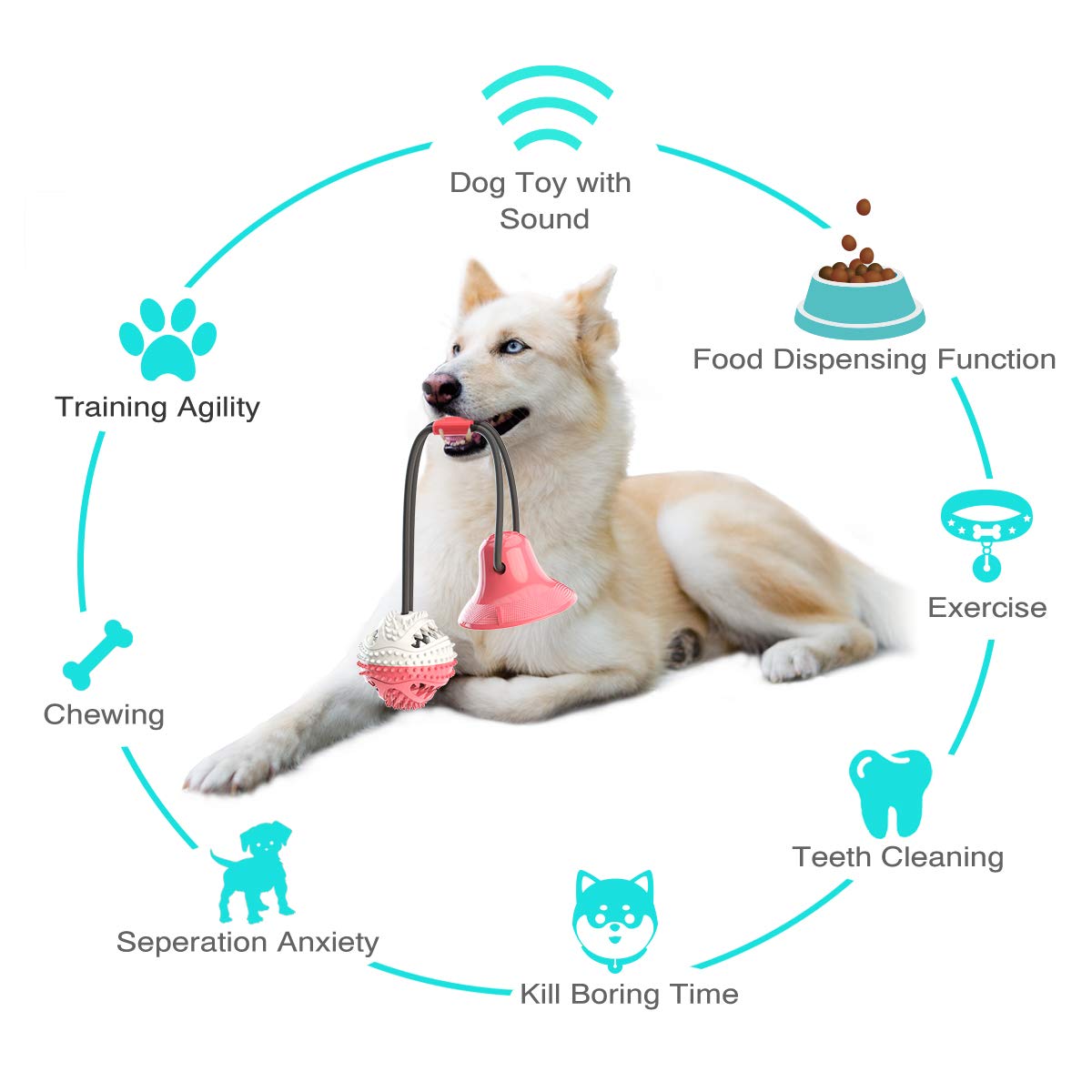 Suction-Cup Rope and Treat Ball Dog Toy
