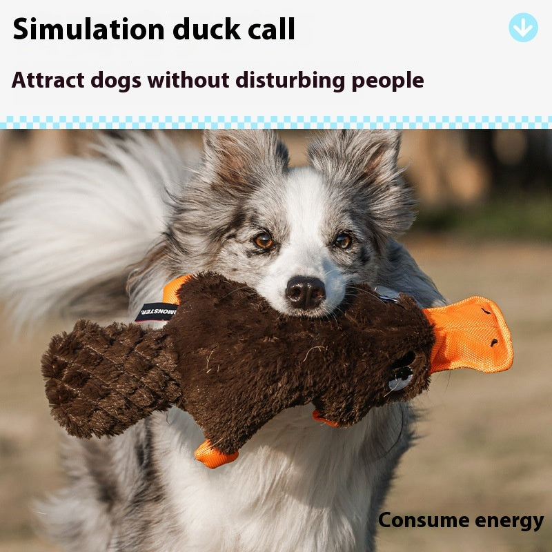 Platypus Plush Squeaky Dog Toy