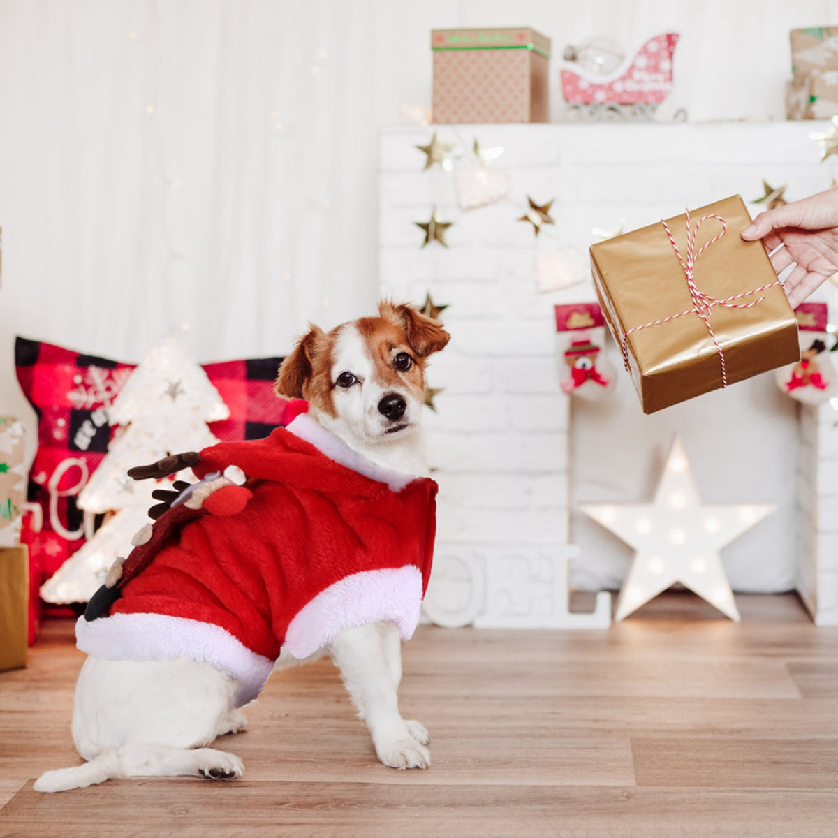 Christmas Reindeer Antler Pet Outfit