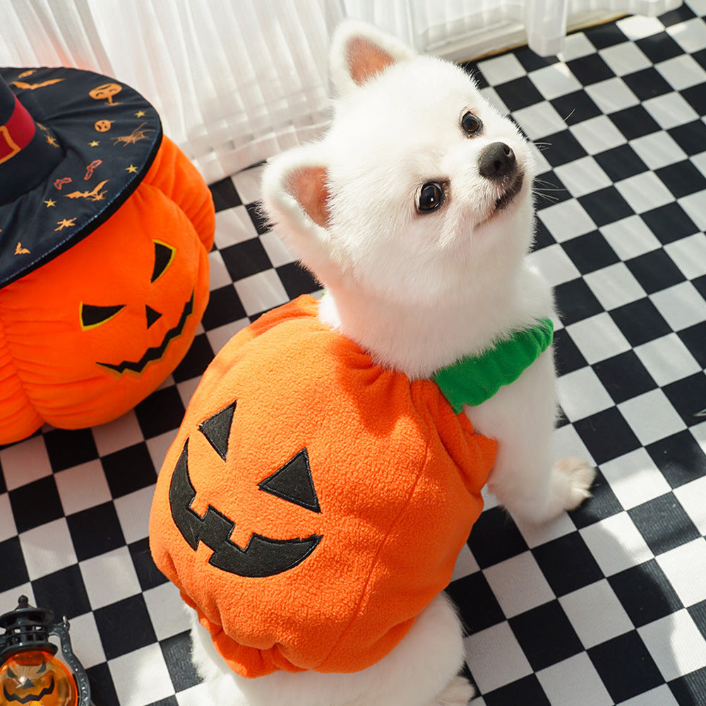 Pumpkin Pet Costume Vest