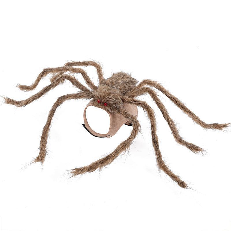 Spider Pet Costume