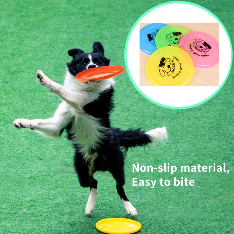 Flying Disc Pet Toy