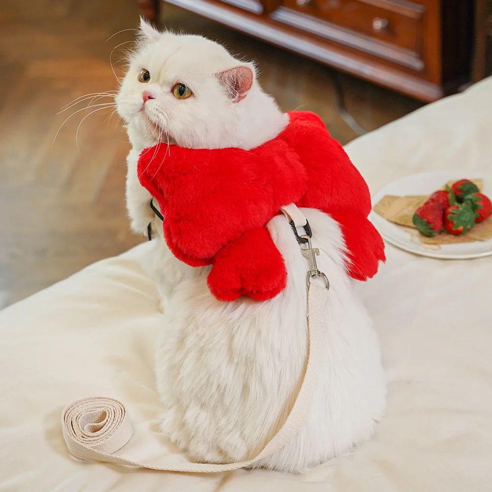 Bow Pet Harness