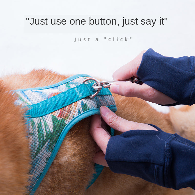 Hands-Free Crossbody Dog Leash