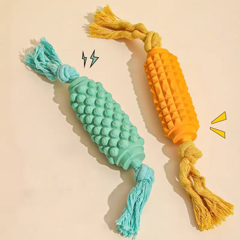 Textured Latex Dog Toy with Rope
