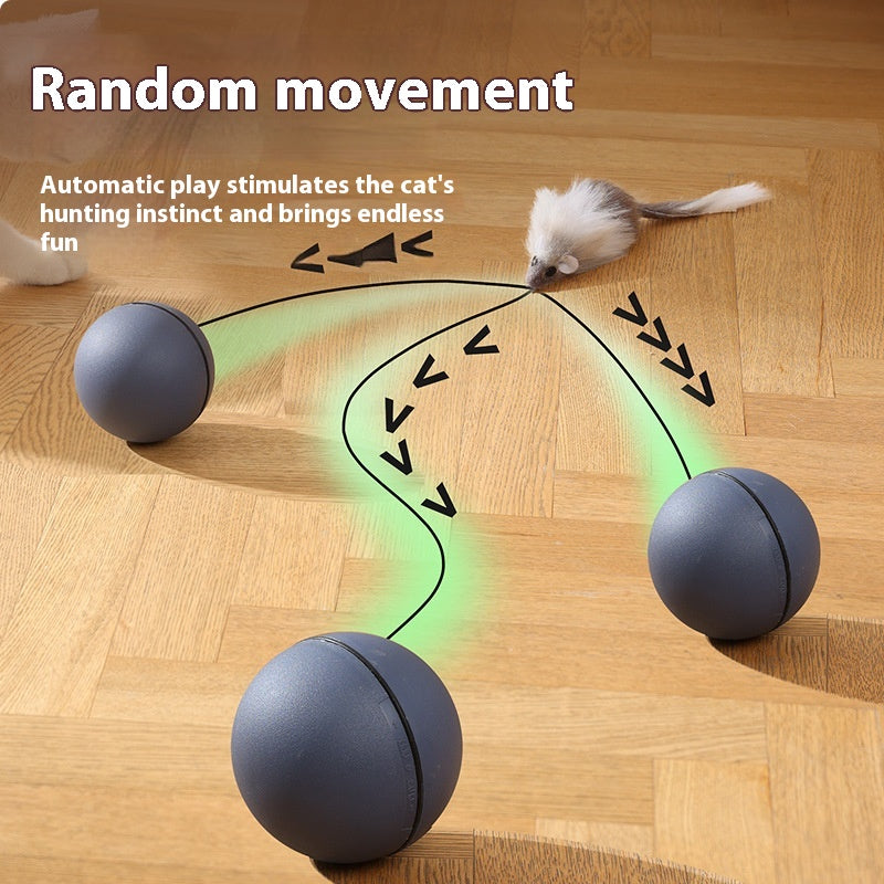 Automatic Rolling Pet Toy Ball