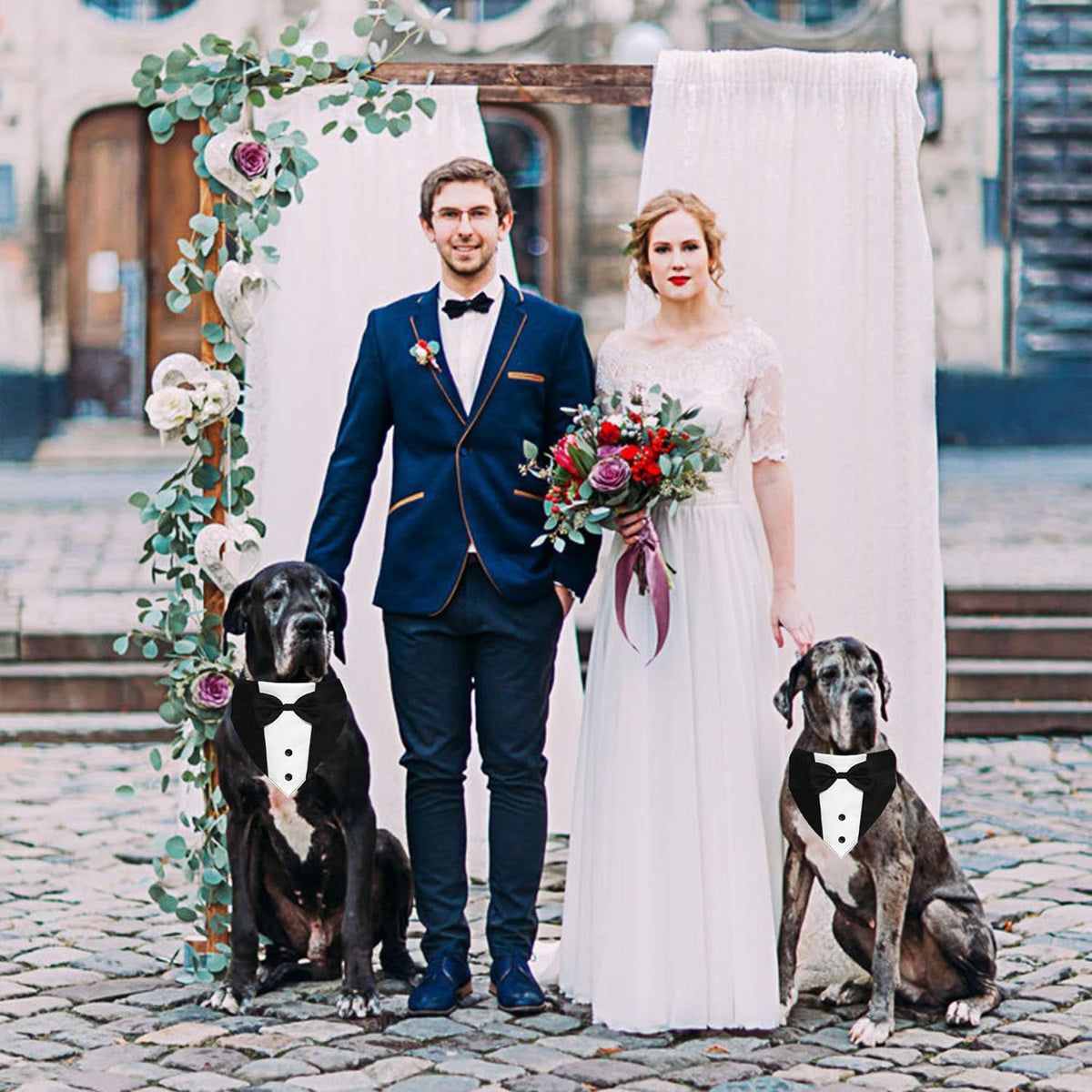 Pet Tuxedo with Bow Tie and Bandana