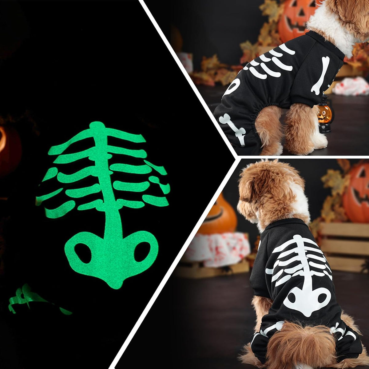 Skeleton Print Pet Jumpsuit