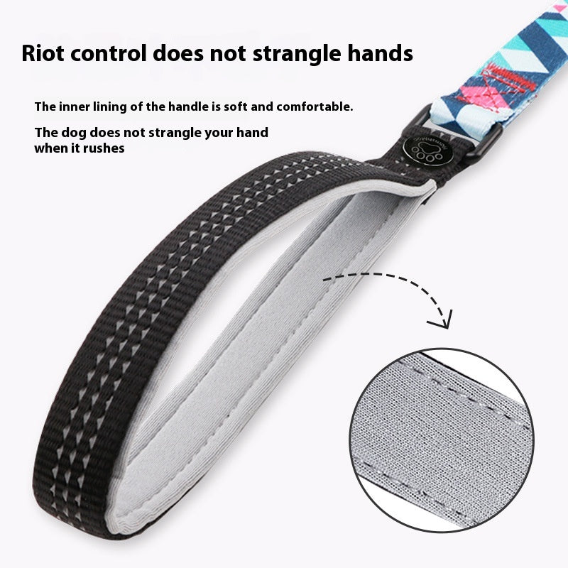 Handheld Pet Leash
