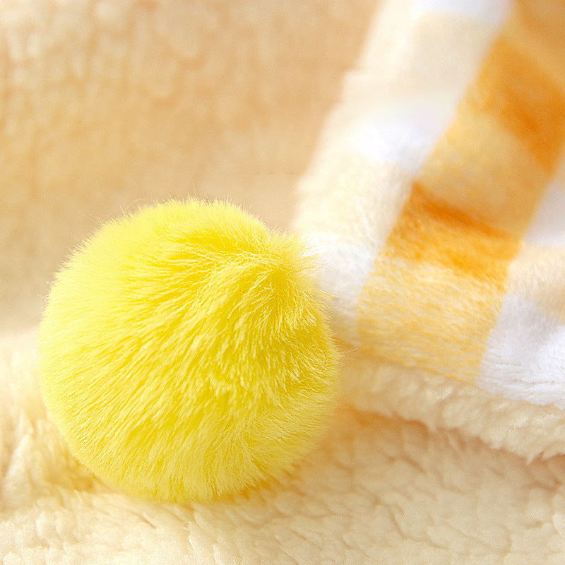 Coral Fleece Pet Blanket