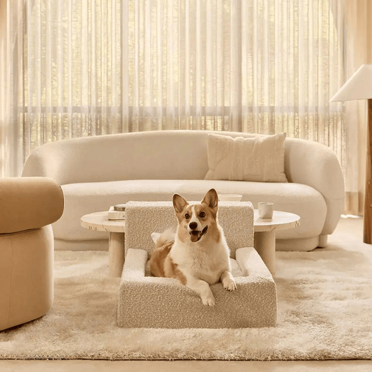 Rectangular Pet Sofa Bed with Backrest