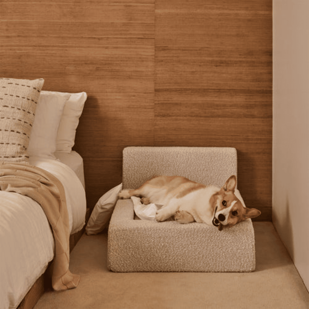Rectangular Pet Sofa Bed with Backrest