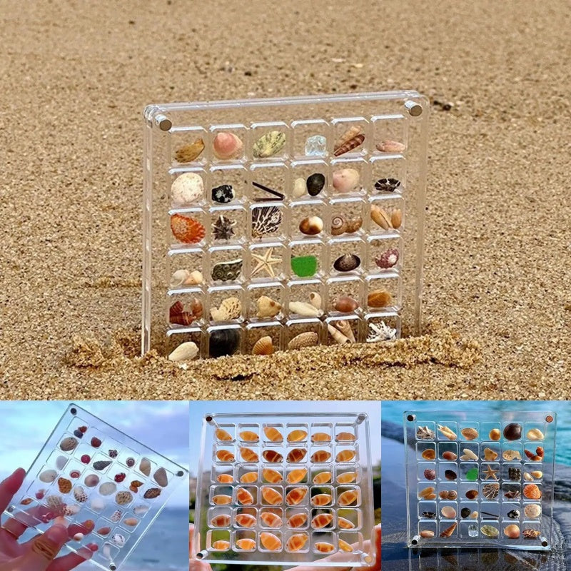 Compartment Acrylic Seashell Display Box