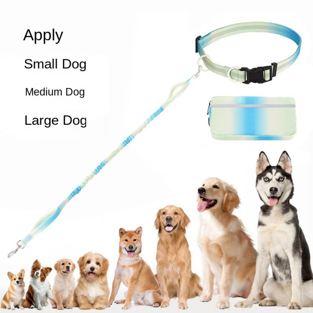 Hands-Free Bungee Dog Leash and Waist Belt