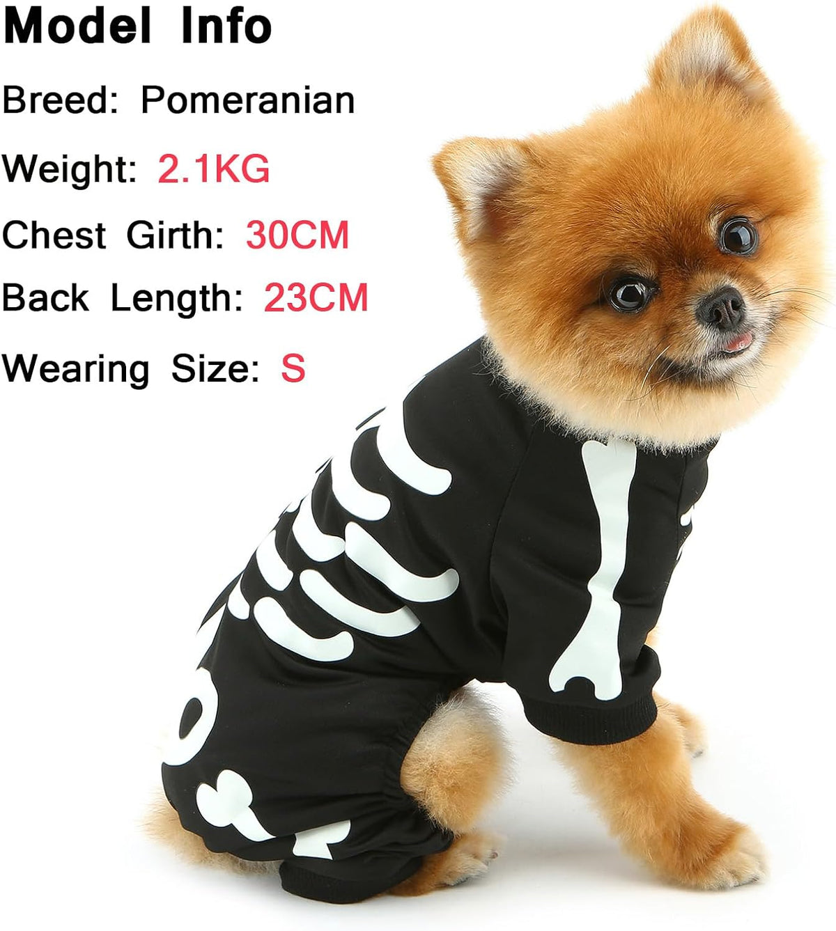 Skeleton Print Pet Jumpsuit