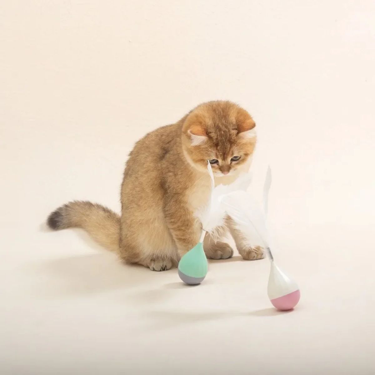Tumbler Cat Teaser Toy