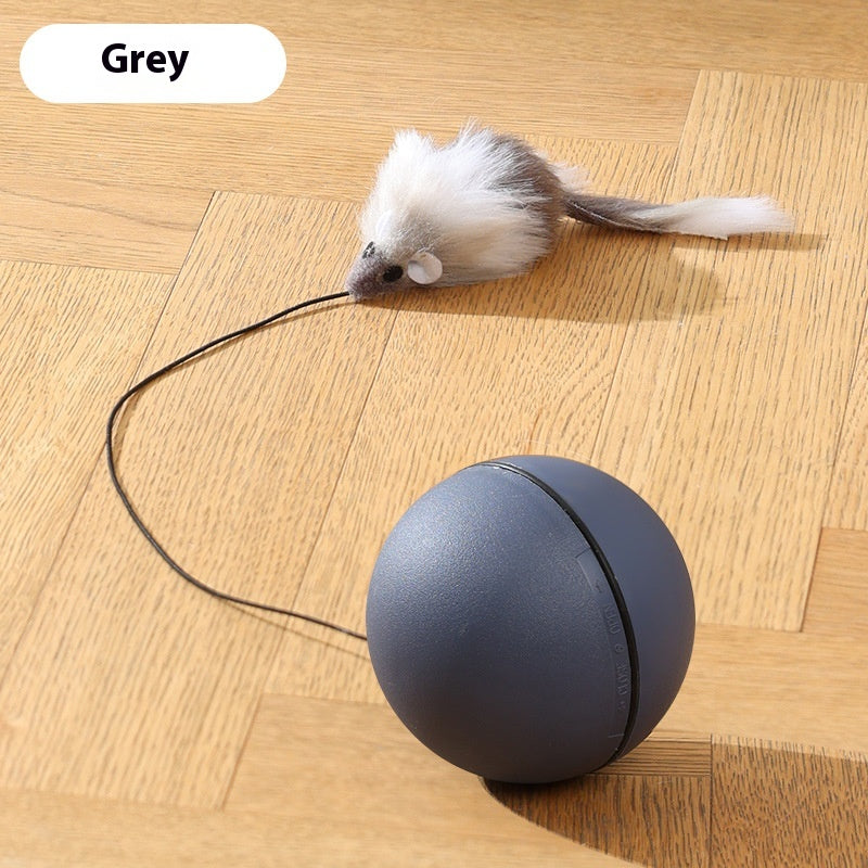 Automatic Rolling Pet Toy Ball