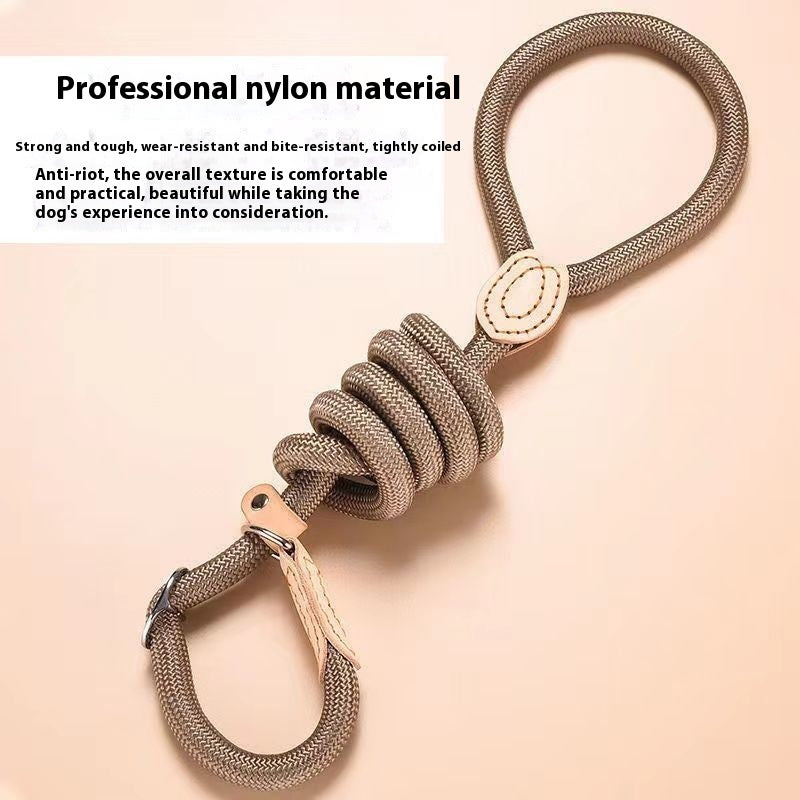 Nylon Dog Walking Leash