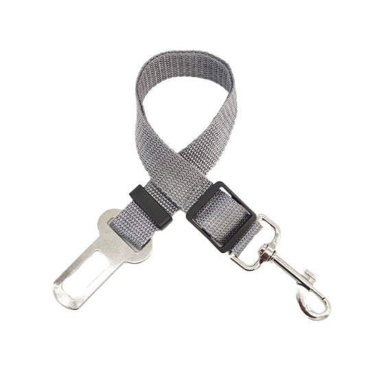 Retractable Pet Leash
