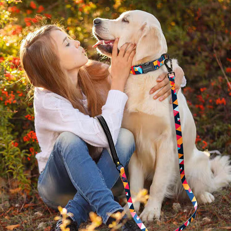 Handheld Pet Leash