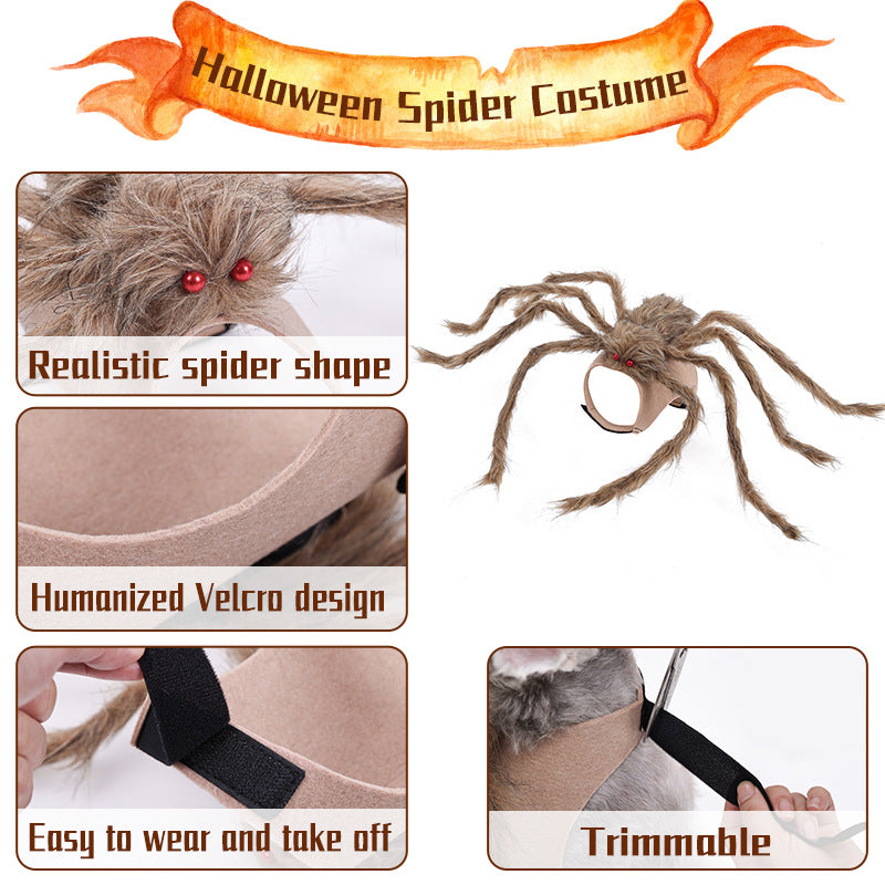 Spider Pet Costume